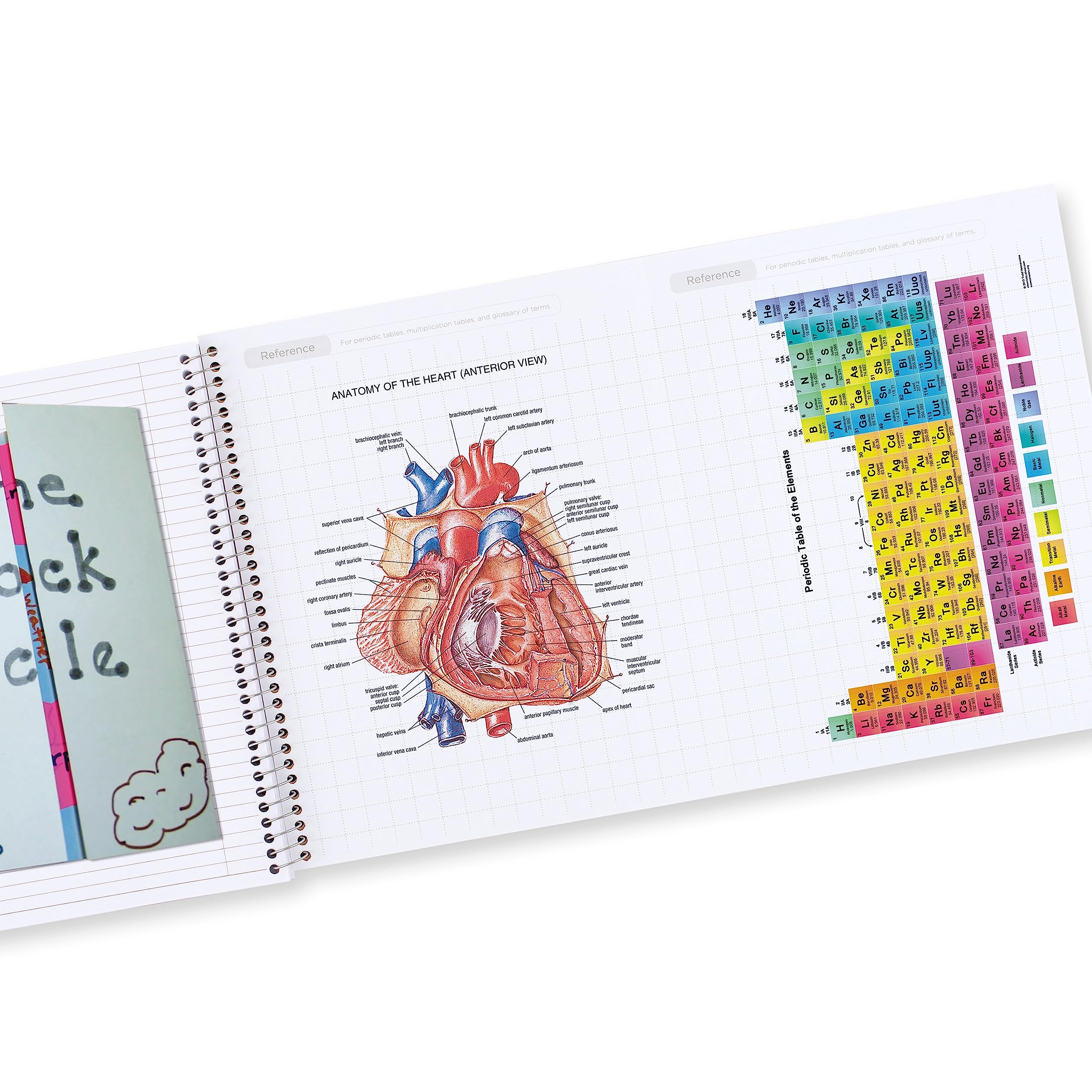 Five Star Interactive Notetaking Spiral Notebooks, 3 Pack, 1-Subject, College Ruled Paper, 11" x 8-1/2", 100 Sheets, Customizable Cover, Forest Green, Fire Red, Pacific Blue (820197-ECM) - Image 6