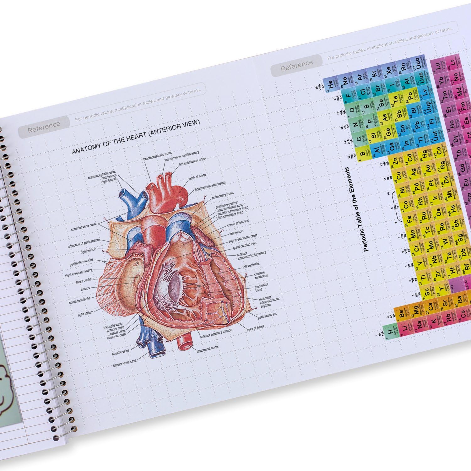 Five Star Interactive Notetaking Spiral Notebooks, 6 Pack, 1 Subject, College Ruled Paper, 11" x 8-1/2", 100 Sheets, Assorted Colors (820019-ECM) - Image 5