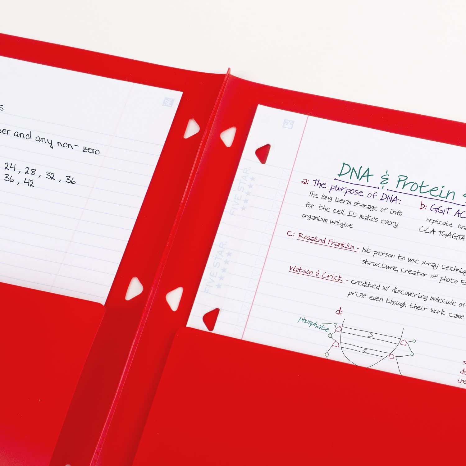 Five Star Pocket Folder + Study App, 4 Pack, 2 Pocket Folder, Customizable Cover, Fits 3 Ring Binder, Black, Pacific Blue, Fire Red, Forest Green (330092A-ECM) - Image 3